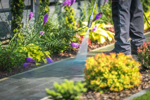 Best Restaurant Pressure Washing  in Sebastian, FL